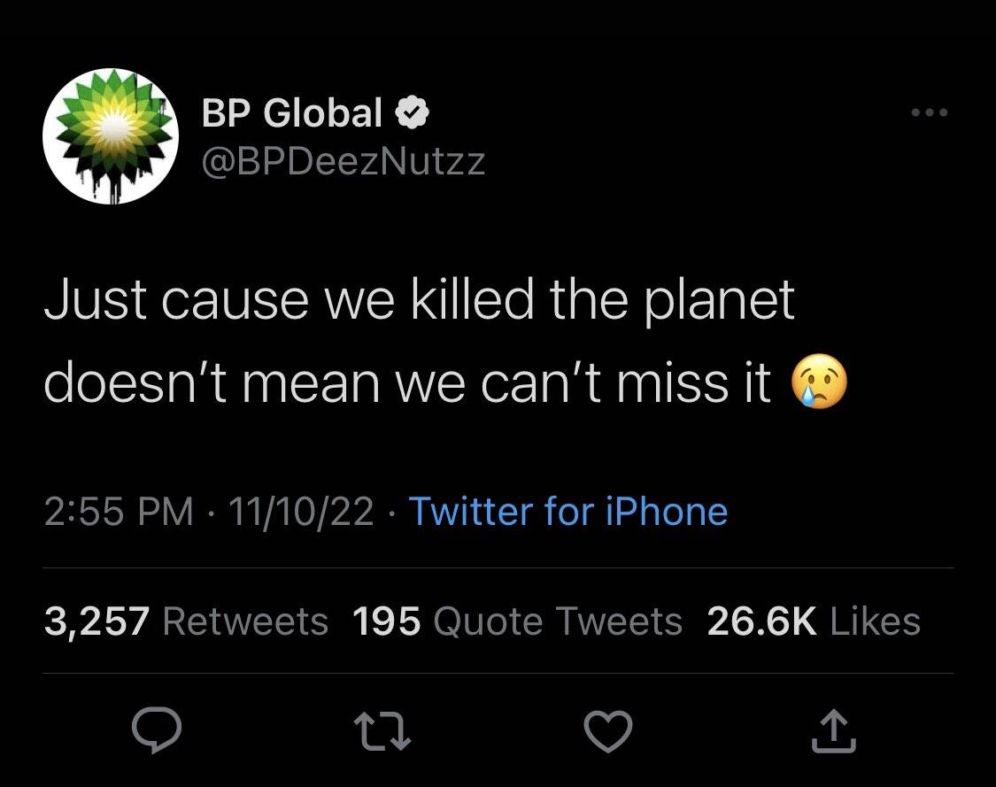 Der BP-Fake-Account auf Twitter.