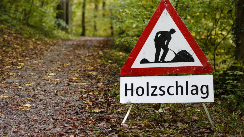 Im letzten Jahr sind vier Personen bei Forstarbeiten gestorben