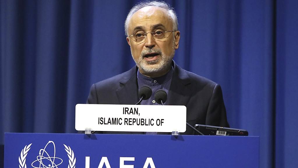 ARCHIV - Ali Akbar Salehi, Vizepräsident und Leiter der Atomenergie-Organisation des Iran, spricht zur Eröffnung der 63. Generalkonferenz der Internationalen Atomenergiebehörde (IAEA) im International Center. Foto: Ronald Zak/AP/dpa