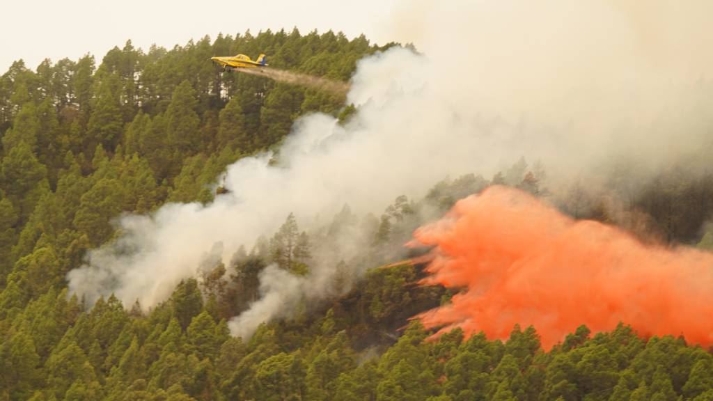 Ein Löschflugzeug wirft Wasser auf den Waldbrand in der Nähe der Gemeinde El Rosario auf Teneriffa. Foto: Europa Press/EUROPA PRESS/dpa