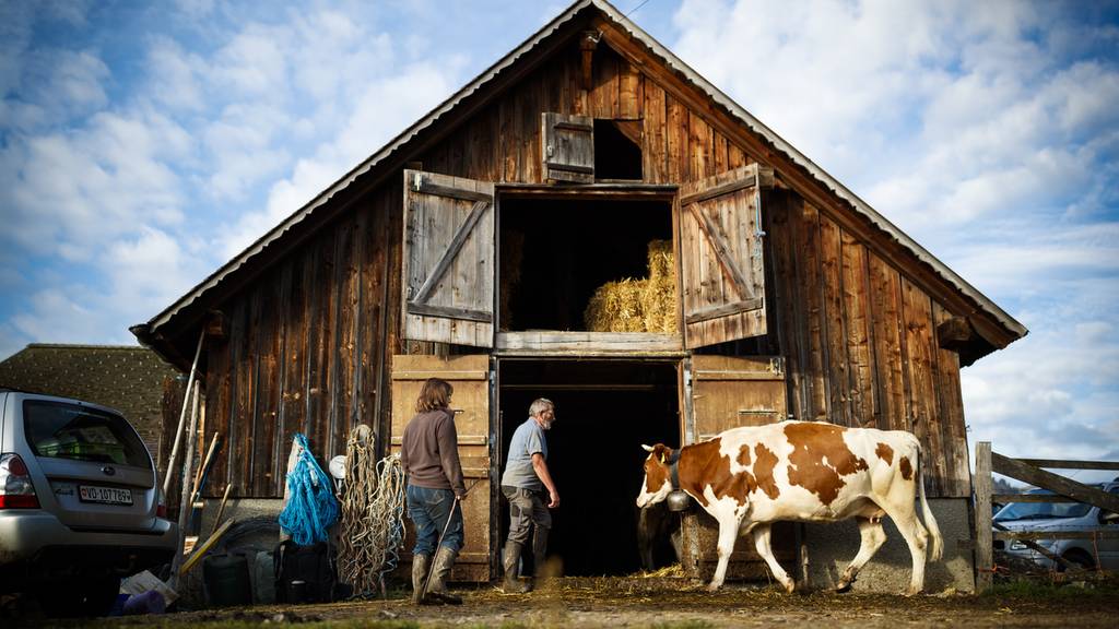 Linksrutsch auf dem Land: Ramona besucht Hans Räbmatter