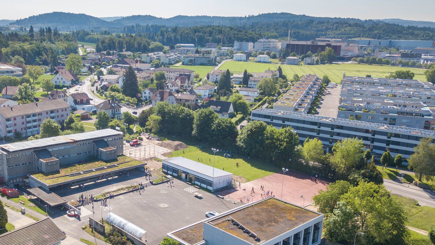rösslimatte buchs