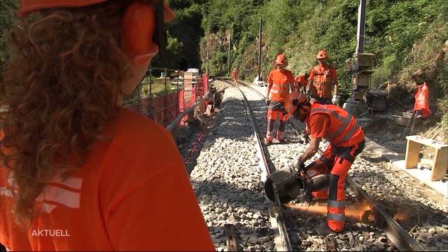 SBB planen Radikal-Kur: Gewerkschaft befürchtet Stellenabbau