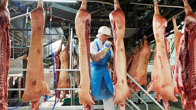 Schlachtermangel gefährdet Weihnachtsessen in Grossbritannien