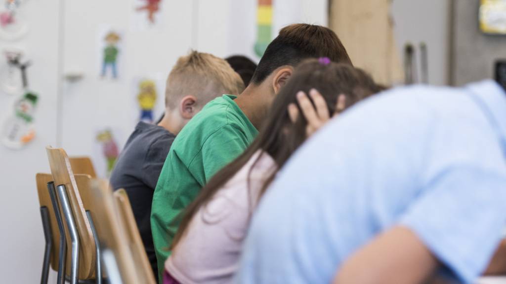 Schwyz sieht keinen Handlungsbedarf bei der integrativen Förderung