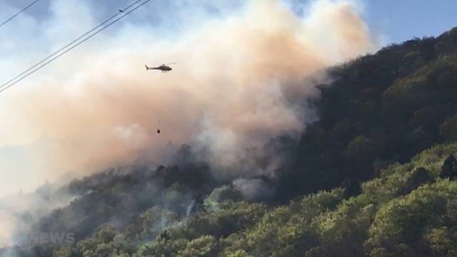 Waldbrand zwischen Ligerz und La Neuveville