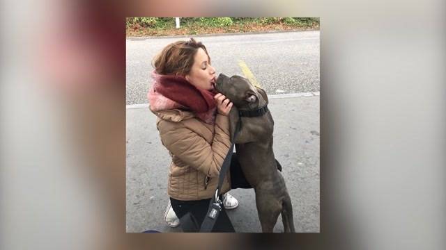 Freude beim Tierhöfli «Kampfschmuser» hat sich «mit endlosem