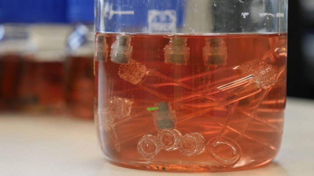 Schweizer Unternehmen sterilisiert Millionen Glasfläschchen für Corona-Impfstoff