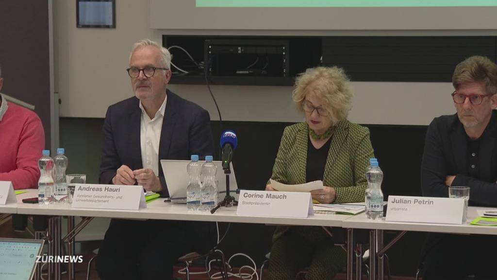 Pilotquartier für Klimaschutz: Stadt Zürich startet Umsetzung in der Binz