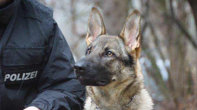 Soviel leisten die vierbeinigen Polizisten