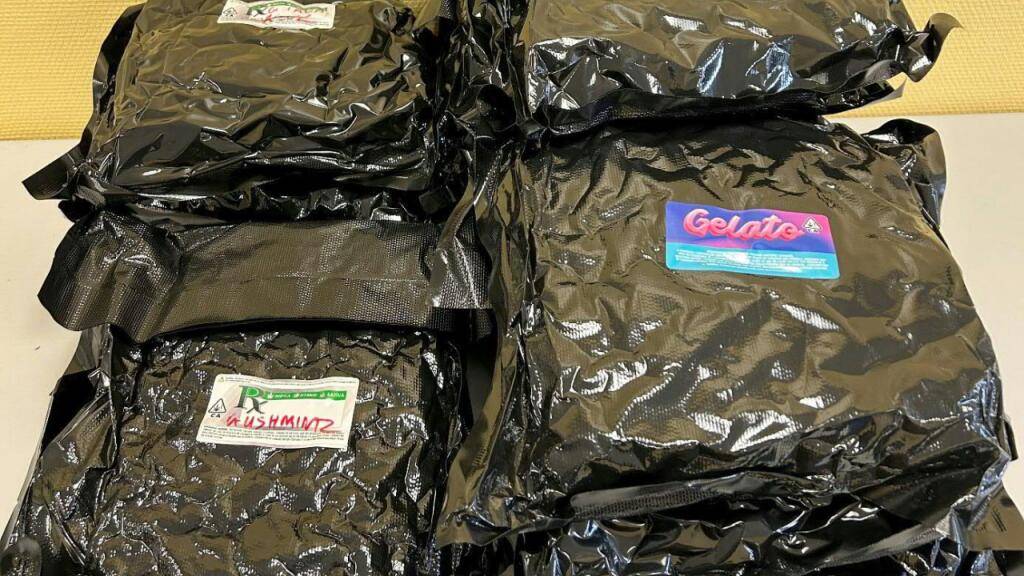 Marihuana statt wie angeschrieben «Gelato» war in der Kurierlieferung: Am EuroAirport Basel stellten Zollbeamte in letzter Zeit wiederholt Kurierpakete sicher.