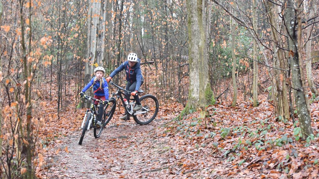 Mountainbiken soll im Bireggwald künftig auf eigenen Trails möglich sein.