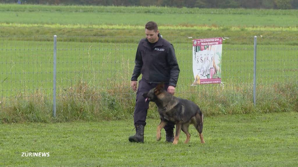 Prüfung für Polizeihunde