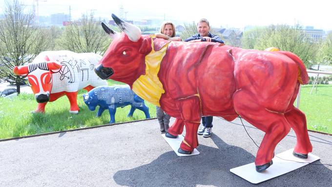 Kunststoff-Stiere tauchen im Kanton Zug auf