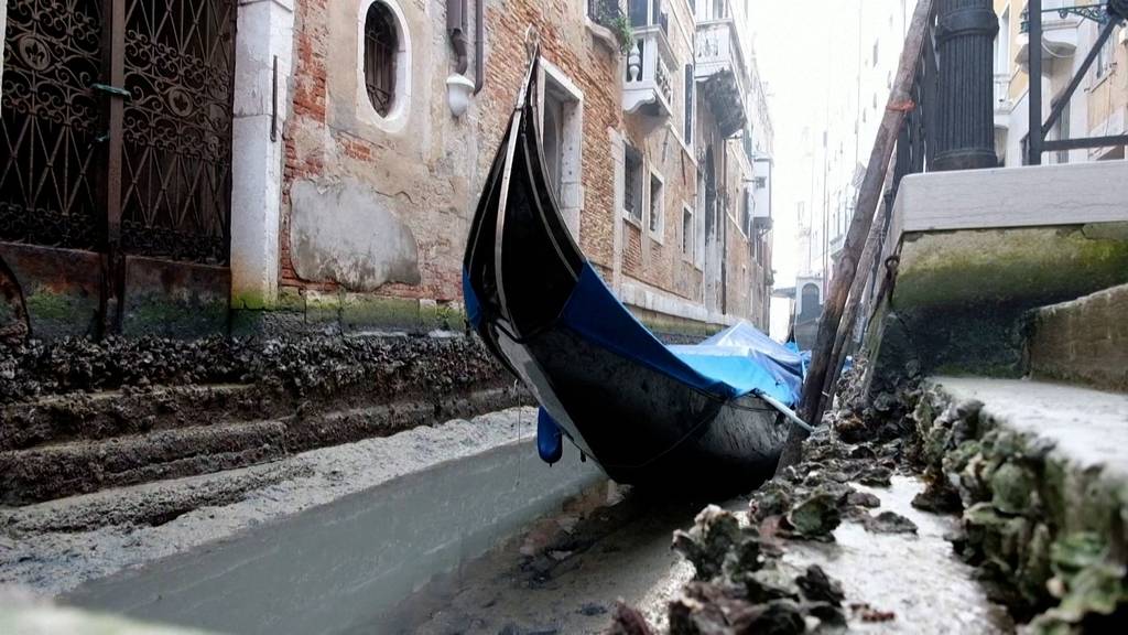 Thumb for ‹Gondeln im Schlamm: Venedig sitzt wegen Niedrigwasser auf dem Trockenen›