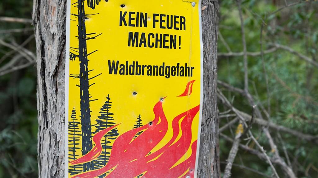 In einigen Regionen im Wallis herrschte weiterhin erhebliche oder grosse Waldbrandgefahr. (Archivbild)
