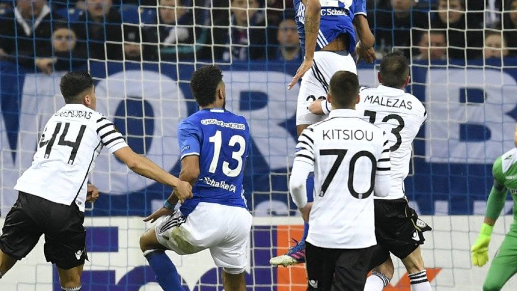 Nach dem klaren 3:0 im Hinspiel kam Schalke zuhause gegen PAOK Saloniki nur zu einem 1:1