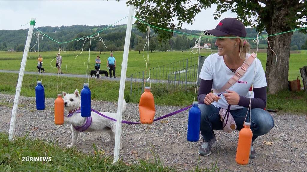 SUST-Hundemilitary: Hund und Herrchen engagieren sich für Tiere in Not