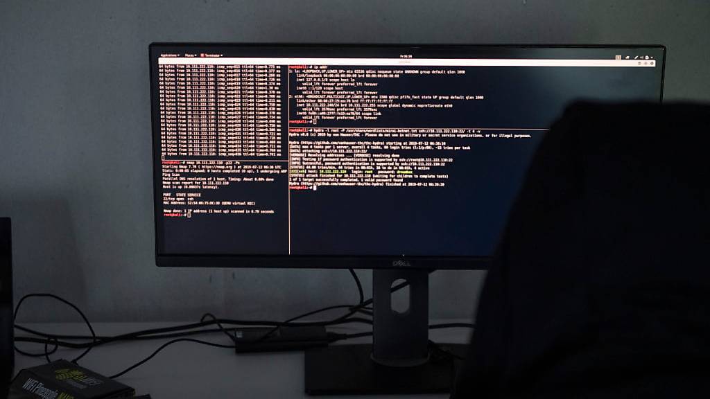 Russische Hacker greifen Regierungswebsite Liechtensteins an