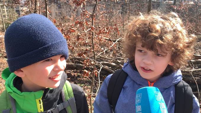 «Wir haben ein Nutella-Glas im Wald gefunden»