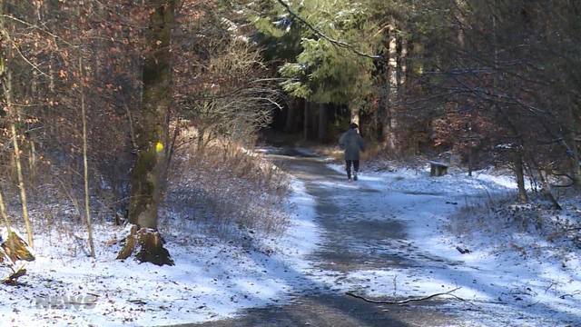 Vorsicht im Wald!