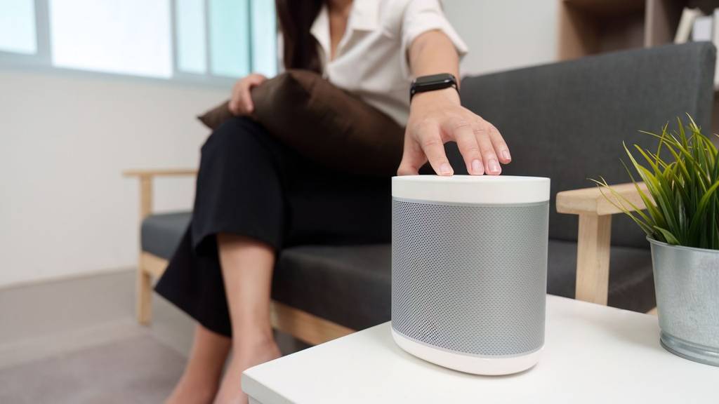 Mit Airplay nahtloses Streaming auf all deinen Geräten