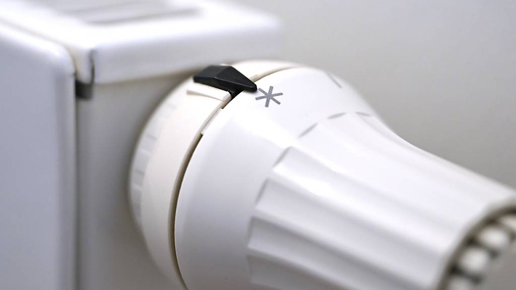 Thurgauer Haushalte mit tiefen Einkommen hätten gemäss einer Motion für die gestiegenen Energiepreise entschädigt werden sollen. (Symbolbild)