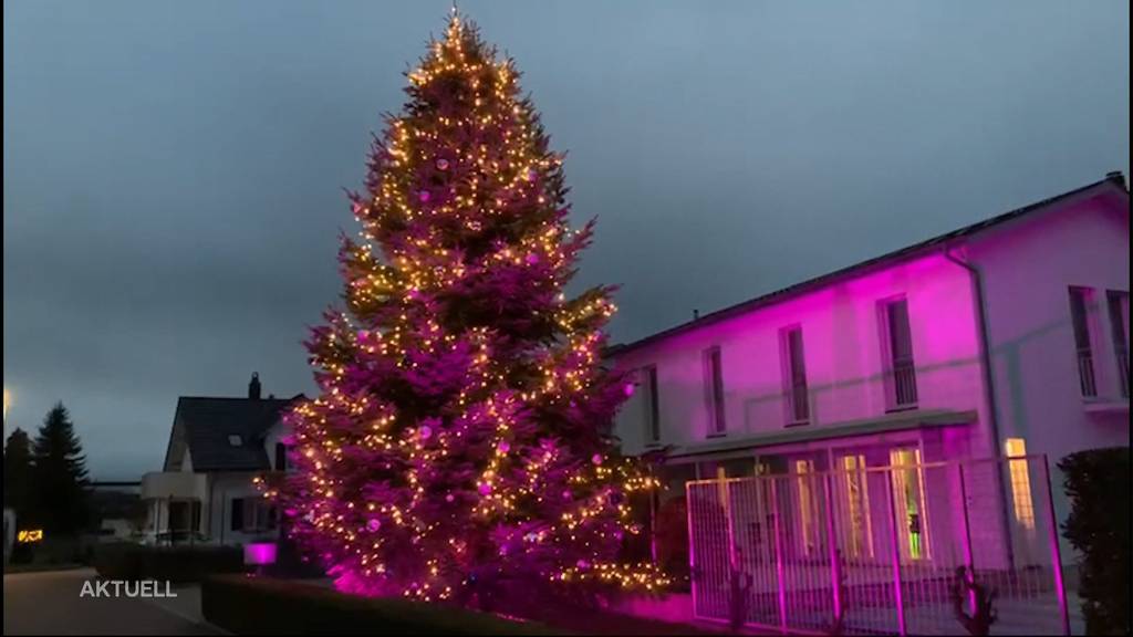 Weihnachten im Garten: Daniel Barrer feiert mit einem Tannenbaum des Nachbarn