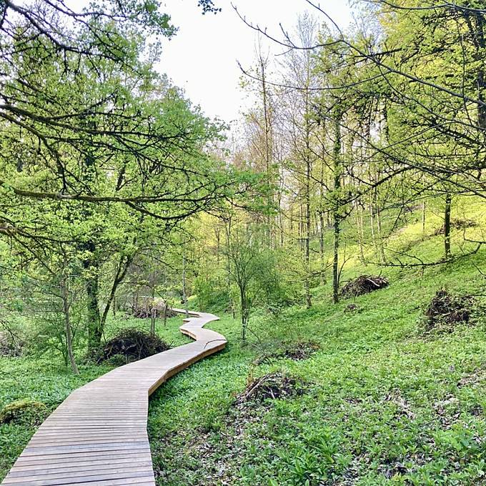 Im Winterthurer Totentäli herrscht viel Leben