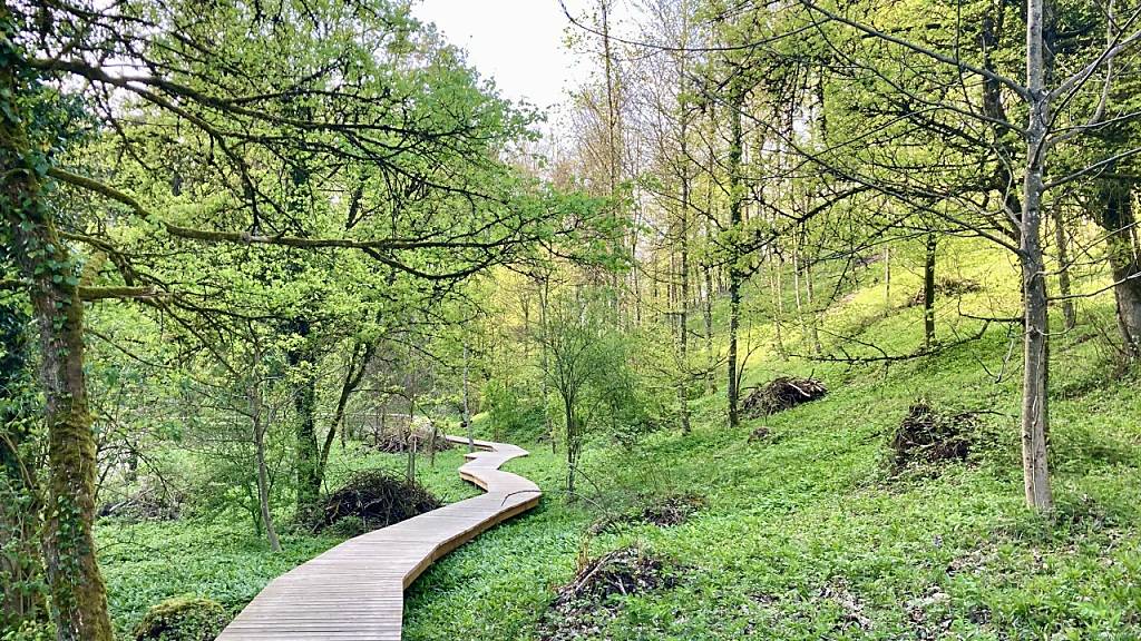 Ein 340 Meter langer Holzsteg ermöglicht die Erkundung des Naturschutzgebietes im Totentäli.