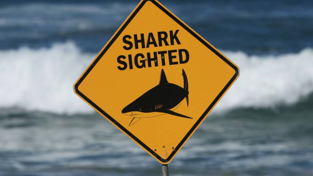 ARCHIV - Ein Schild ist am Ort eines tödlichen Haiangriffs am Dee Why Beach zu sehen. Vor der Westküste Australiens ist ein Mann von einem Hai schwer verletzt worden. Foto: Mark Baker/AP/dpa