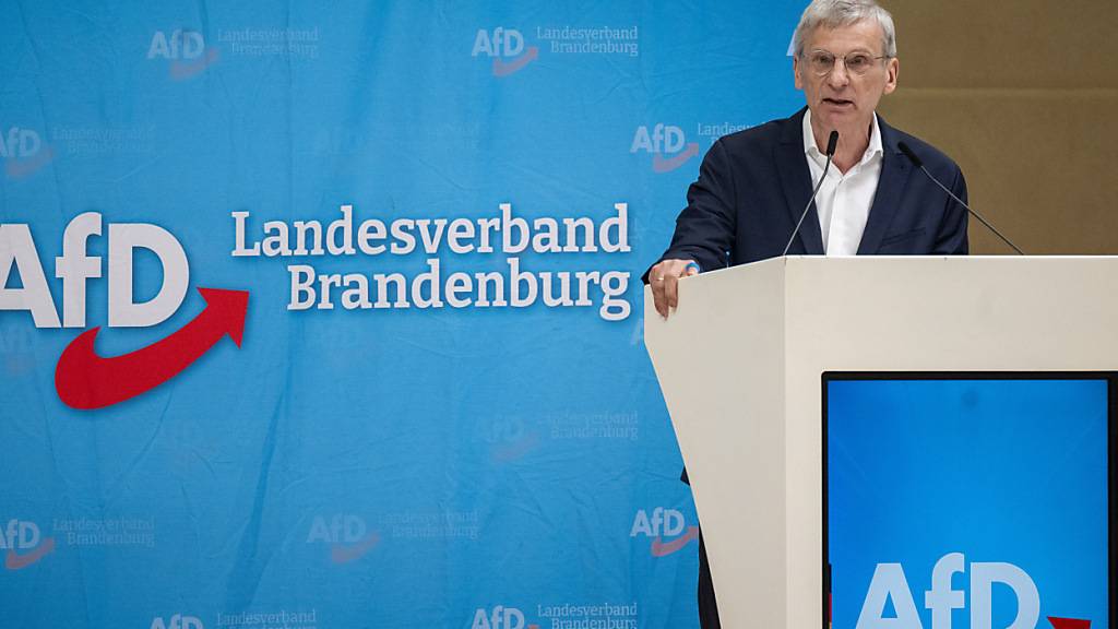 ARCHIV - Hans-Christoph Berndt, Kandidat für den Spitzenplatz der AfD Brandenburg für die Landtagswahl, spricht beim Landesparteitag der AfD Brandenburg in der Wiesenhalle. Foto: Monika Skolimowska/dpa