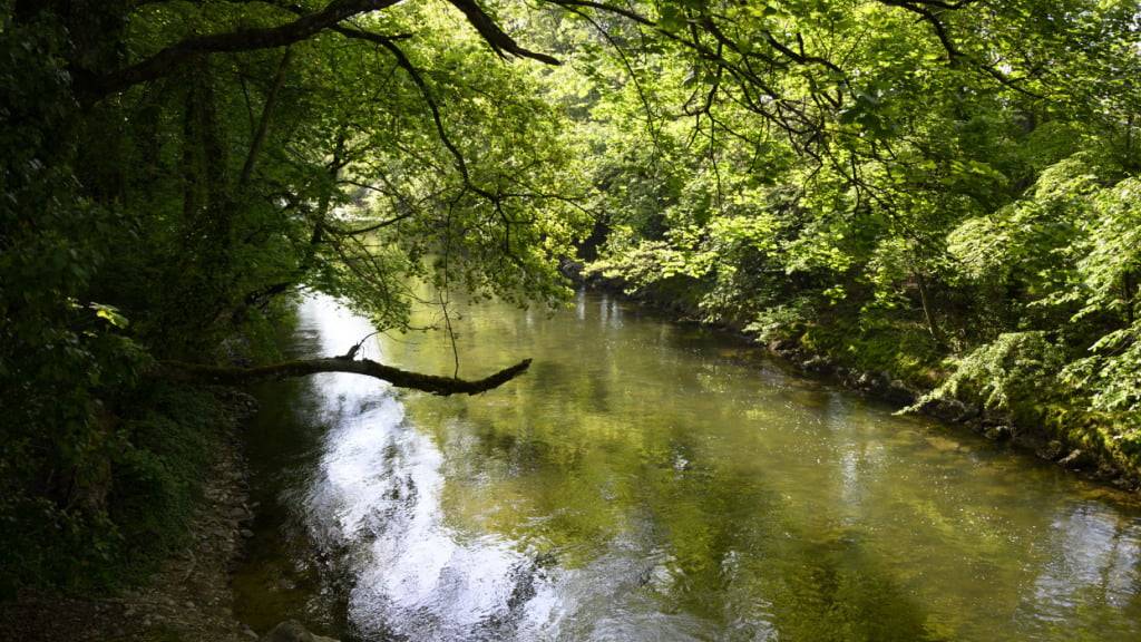 Im Kanton Thurgau wurde untersucht, wie Pflanzenschutzmittel in Bäche und Flüsse gelangen kann. Die Auswertung der erhobenen Daten dauert weiter an. (Archivbild)