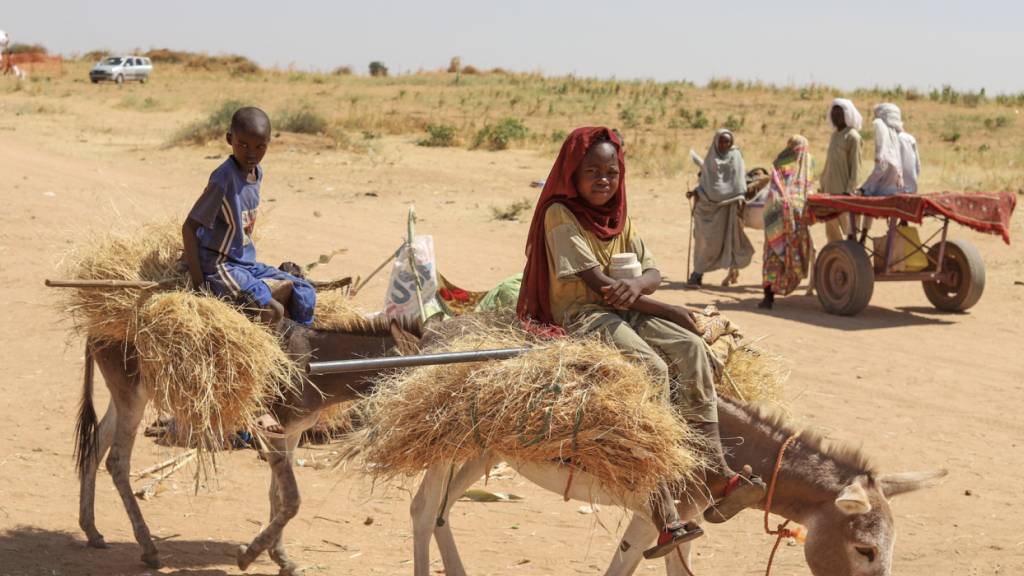 ARCHIV - Sudanesen, die aus der Stadt Al-Faschir geflohen sind, nachdem sudanesische paramilitärische Kräfte Hunderte von Menschen in der westlichen Region Darfur getötet haben, tragen Brennholz in ihrem Lager in Tawila. Foto: Muhnnad Adam/AP/dpa