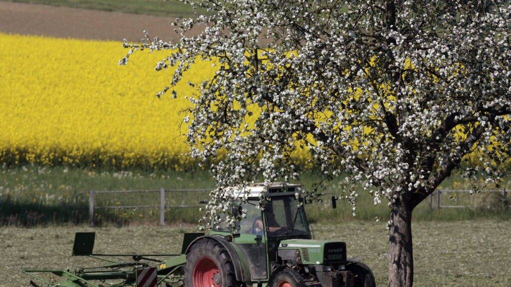 Luzerner Landwirtschaft soll weniger Lachgas produzieren