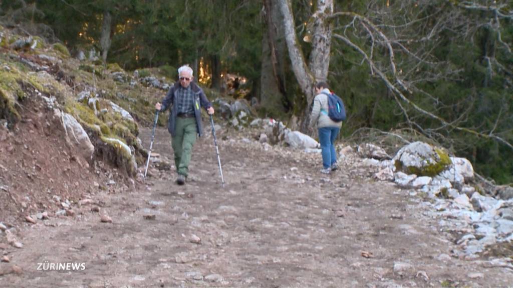 Wanderweg im Kanton Schwyz illegal zu einer Strasse umgebaut