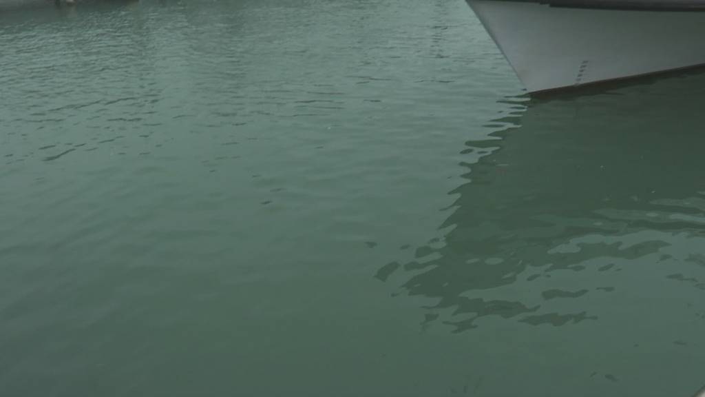 Höhere Passagierzahlen bei der Schweizerischen Bodensee-Schifffahrt