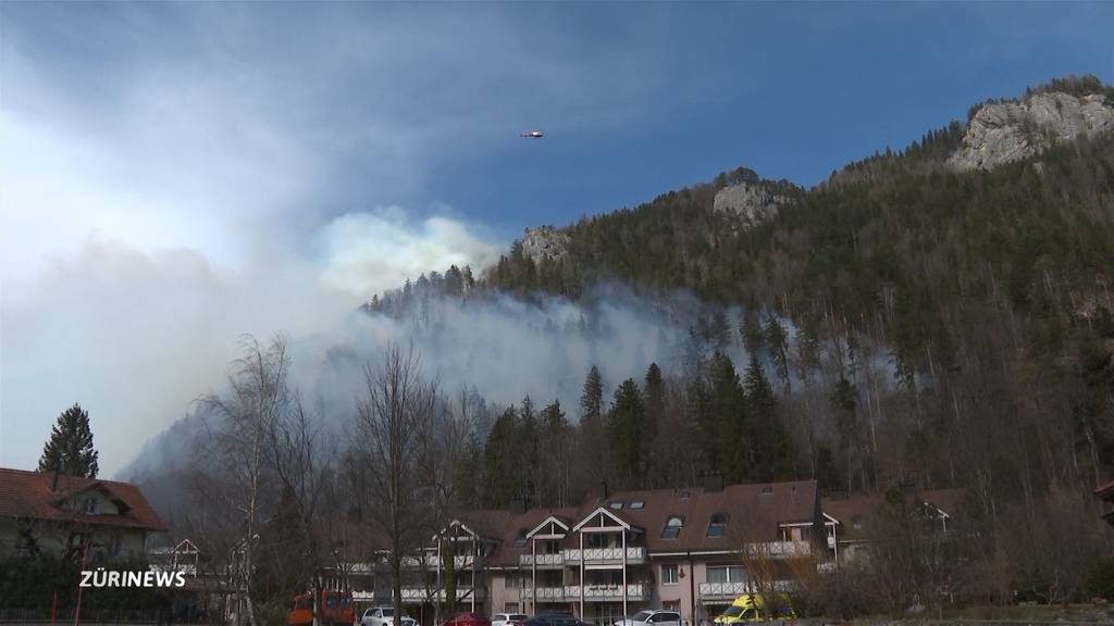 Anhaltende Trockenheit führt zu Waldbränden in Meiringen und Balsthal