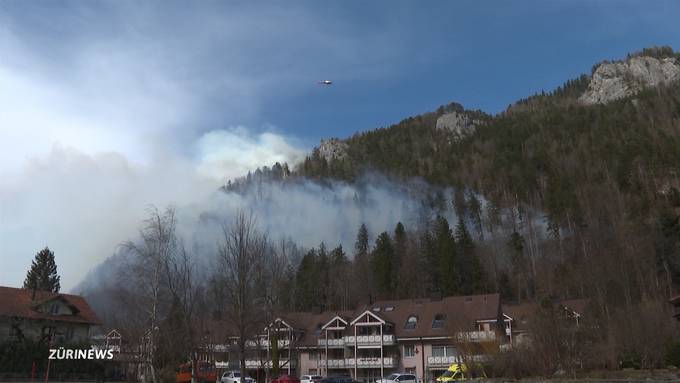 Zürich erhöht die Gefahrenstufe für Waldbrände