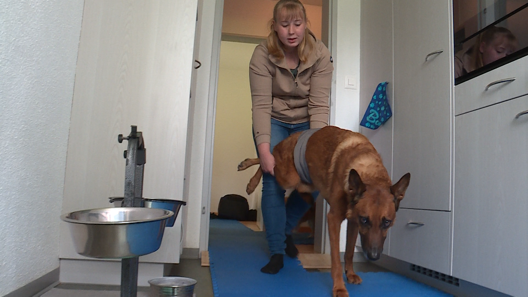 Hund mit Handicap 