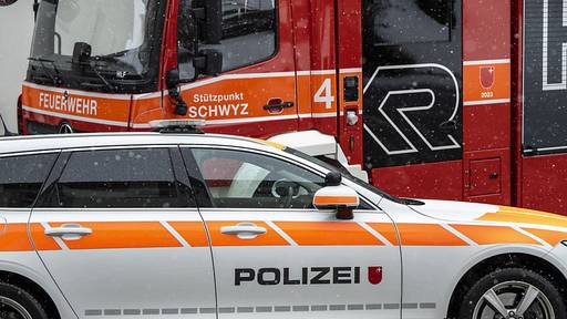 Polizei suchte in der Rigiaa SZ nach mutmasslich ertrunkener Person