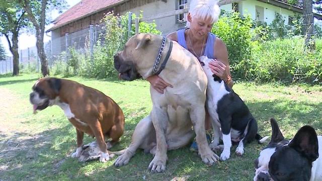 Tierferienheim Leutwil vor dem Aus?