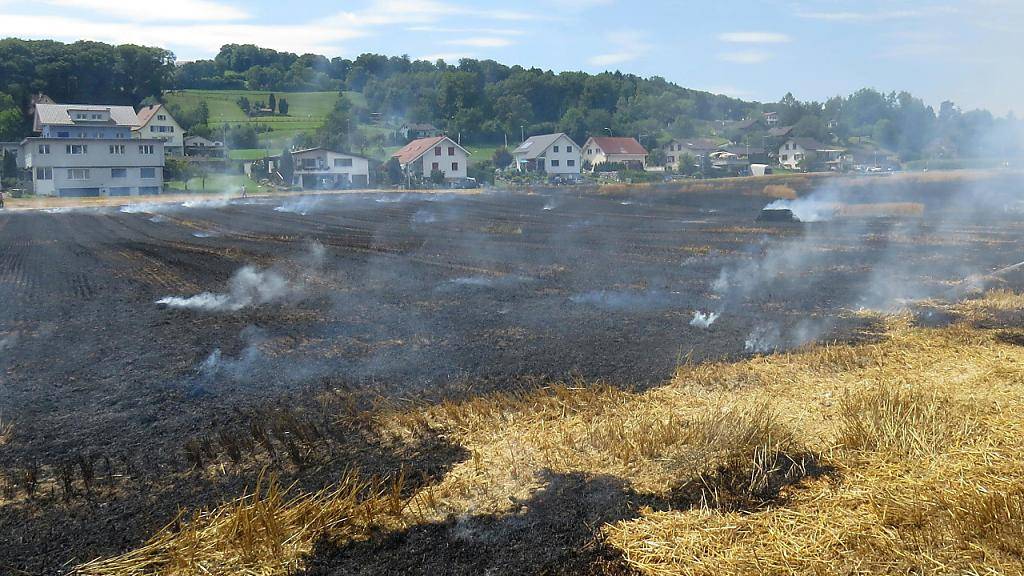 Brandspuren auf dem Strohfeld: 200'000 Franken beträgt der Sachschaden.