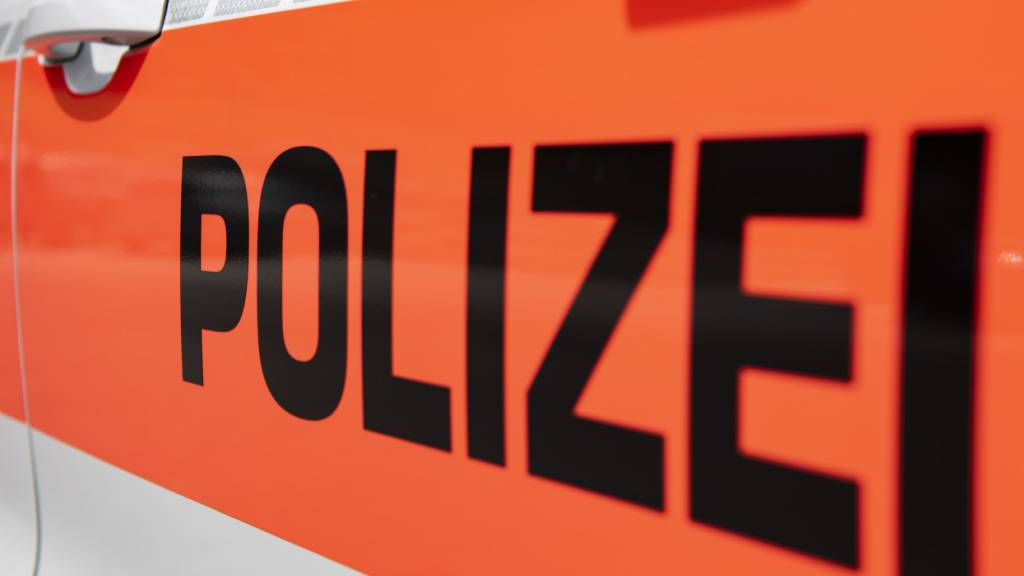 Unbekannte brechen in Waffengeschäft im Kanton Schwyz ein