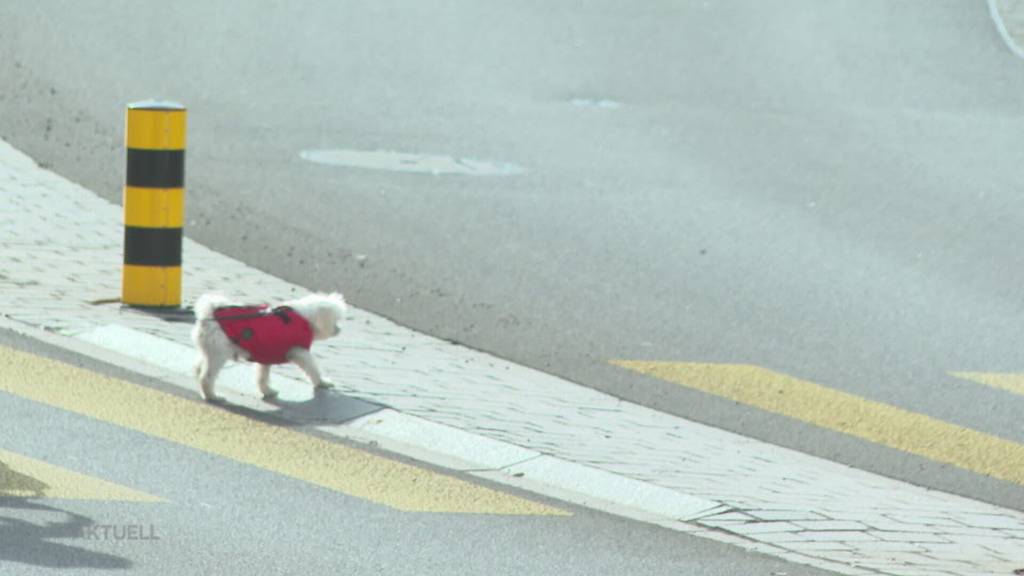 Alterslimite erhöht: In Oberrohrdorf darf man erst ab 75 auf den Seniorenausflug