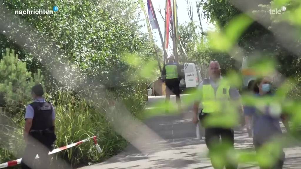 Tierpflegerin stirbt im Zoo Zürich nach Tiger-Attacke