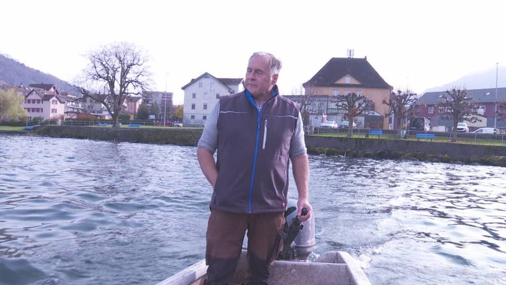 Verkaufsverbot für Fische aus dem Zugersee