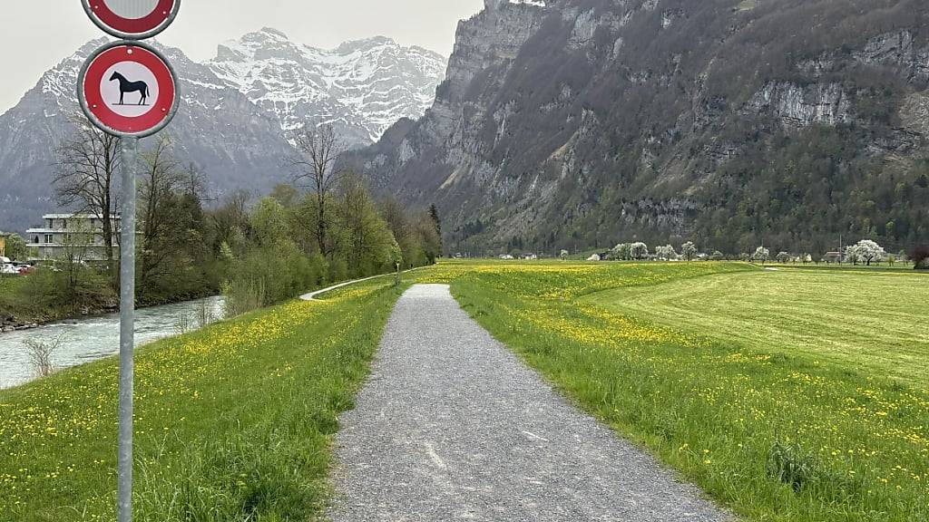 Die umgeschubste Seniorin stürzte bei Näfels GL vom Dammweg in die Grasböschung und brach sich den Oberschenkelhals.