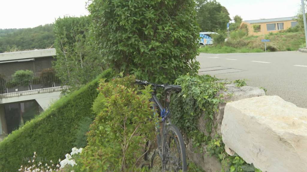 Geschnappt: In Biberstein nimmt die Polizei einen Einbrecher fest