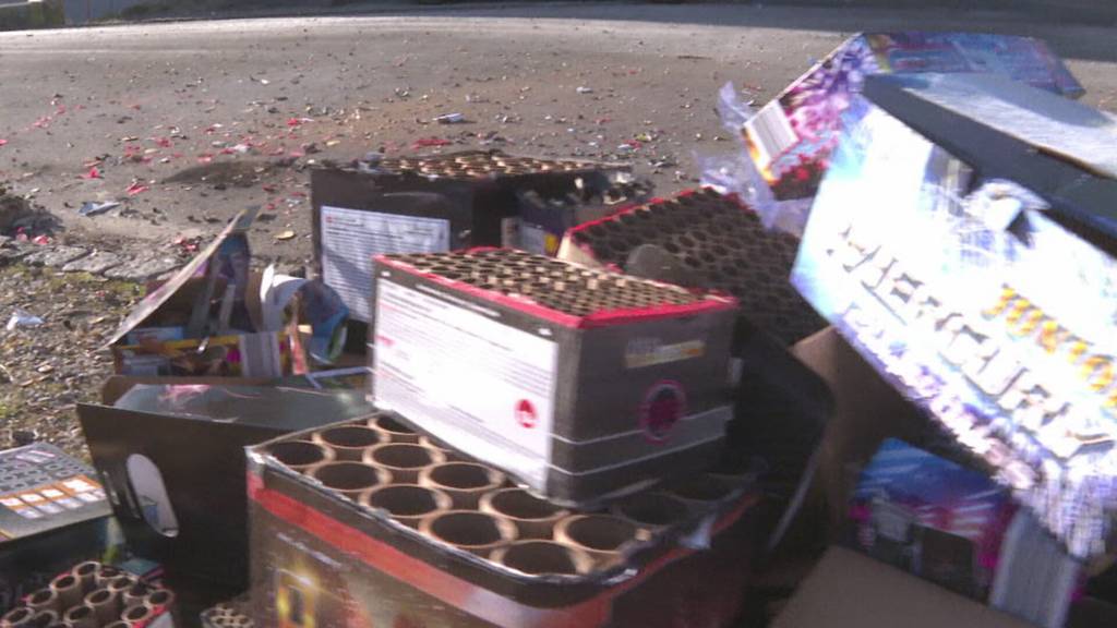 Viel los an Silvester: Regionale Polizeien ziehen Bilanz